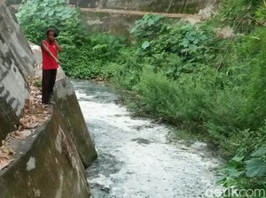 Keruh dan Bau, Sungai Dawe Diduga Tercemar Limbah Tahu