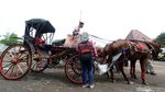 Ini Kereta Kencana untuk Pernikahan Kahiyang-Bobby