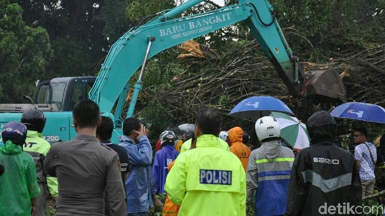 Alat Berat Dikerahkan untuk Evakuasi Pohon Tumbang di Banjarnegara Alat Berat Dikerahkan untuk Evakuasi Pohon Tumbang di Banjarnegara