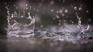 7 Fakta Menarik Tentang Hujan