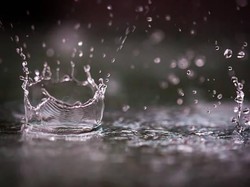 7 Fakta Mencengangkan Carnian Pluvial Event: Bumi Hujan Jutaan Tahun