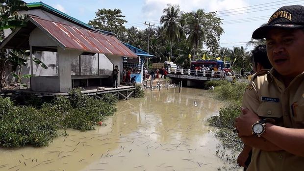  Heboh Muncul Hewan Misterius Mirip Lintah di Sungai Kalbar