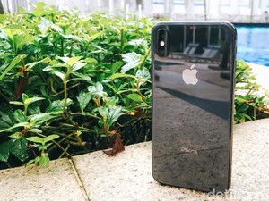 Kamera iPhone Lebih Jadi Andalan Ketimbang Canon dan Nikon