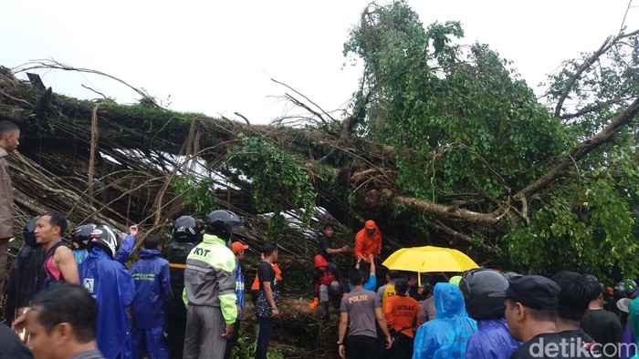 Foto: Uje Hartono/detikcom Foto: Uje Hartono/detikcom