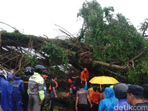 Korban Pohon Tumbang di Banjarnegara Sebagian Besar Pemain Voli