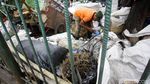 Bikin Kotor! Sampah Meluber ke Ruang Terbuka Hijau