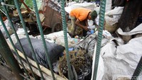 Pemulung mencari botol bekas di tumpukan sampah tersebut.