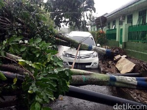 Pohon Tumbang Juga Timpa Mobil di Banjarnegara