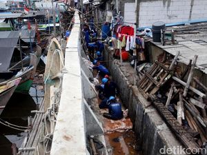 Cegah Banjir di Luar Batang, DKI Lakukan Betonisasi Tanggul