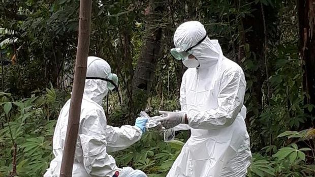 Antraks merupakan penyakit berbahaya yang mudah menular