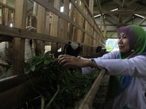 Terpukulnya Bidan Kesih Saat Bayi Miskin Meninggal di Pangkuannya