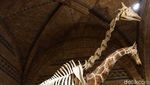 Foto: Museum Paling Keren di London