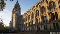 Bangunan museum ini sangat indah dengan gaya arsitektur romanesque. Bangunan ini menjadi salah satu landmark Kota London yang disebut waterhouse building (Erna/detikTravel)