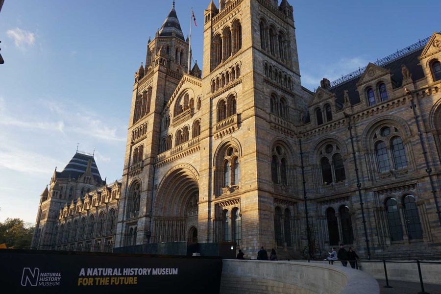 560 Gambar Fosil Hewan Dan Tumbuhan HD Terbaik