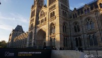 Natural History Museum adalah salah satu museum sejarah alam terbesar di dunia. Museum ini memamerkan 80 juta spesimen dari tumbuhan (botani), hewan (zoologi), serangga, mineral dan fosil hewan dan tumbuhan atau palaeontology (Erna/detikTravel)