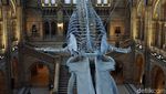 Foto: Museum Paling Keren di London