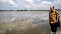 Kabupaten Takalar memiliki potensi 600 Ha tambak garam. Tahun produksi garam mencapai 80 sampai 100 Ton per hektar.