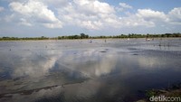 Lokasi ekstensifikasi milik petani garam garapan yang dilirik oleh Kemenko Maritim. Lahan ini dimiliki Pemkab Takalar.