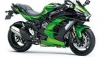 Kawasaki Ninja H2 SX, Monster Versi Sport Tourer