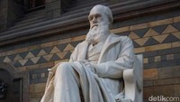 Ada patung Charles Darwin di tangga saat naik ke lantai dua. Sebagian spesimen yang dipamerkan di sini sebagian memang milik Charles Darwin (Erna/detikTravel)