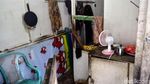Kisah Pilu Nenek Nur yang Tinggal di Gubuk Sempit Jakarta