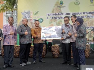 RI Bisa Jadi Lumbung Pangan Dunia Jika Anak Muda Terjun ke Sawah