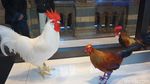 Foto: Museum Paling Keren di London