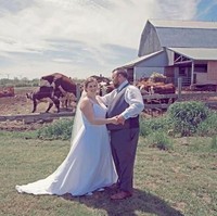 Bukan cuma pasangan pengantin di foto ini saja yang kawin, dua sapi di belakang mereka pun rupanya sibuk kawin. Foto: ist.