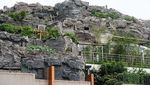 Pernah Lihat Ada Gunung di Puncak Gedung? Ada Nih di China