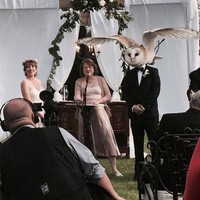 Secara tidak sengaja seekor burung hantu melintas dan seolah menggantikan kepala sang mempelai pria. Foto: ist.