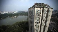 Zhang Biqing, profesor di bidang pengobatan tradisional China, menghabiskan 6 tahun untuk membangun gunung di puncak gedung ini. Istimewa/boredpanda.