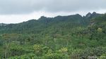 Nggak Seram Kok, Ini Bukit (Ng)ISIS yang Punya Panorama Indah