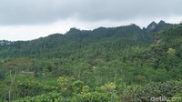 Panorama Bukit Ngisis perlahan muncul setelah kabut hilang. Indah juga (Shinta/detikTravel)