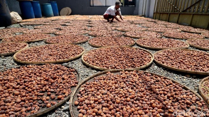 Jokowi Siapkan Rp 2,7 Triliun Genjot Produksi Rempah-rempah RI