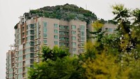 Gunung buatan di puncak gedung itu dilengkapi dengan taman dan area teras terbuka. Istimewa/boredpanda.