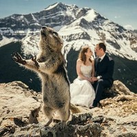 Foto pernikahan pasangan yang berfoto dengan latar belakang gunung bersalju ini jadi lucu dengan kehadiran seekor tupai. Foto: ist.