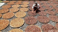 Harga buah pala di kawasan Bogor relatif stabil.