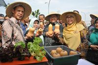 Kipas Merah, Kerudung Kuning & Harapan Netty Heryawan di Hari Pangan