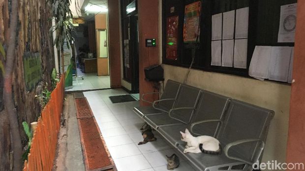Melihat Kantor Lurah Jembatan Lima yang Jadi Sorotan karena Sempit