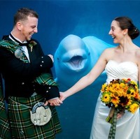 Hewan paus ini adalah tamu tak diundang paling menggemaskan untuk pasangan pengantin Skotlandia ini. Foto: ist.