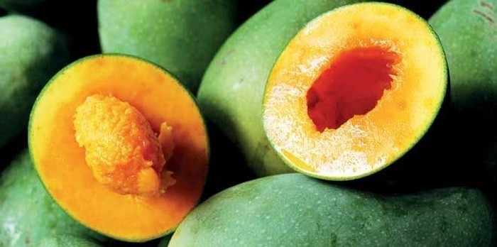 5 Fakta Mangga Alpukat Yang Perlu Kamu Tahu