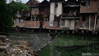 Air di sungai itu berwarna hijau pekat.