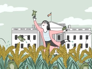 Di Mana Kodok di Musim Gugur di Washington?