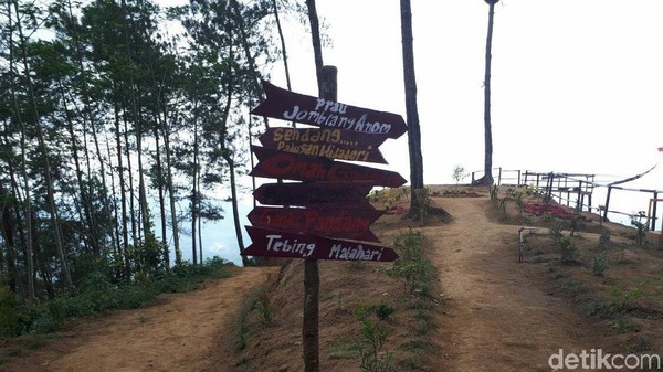 Puncak Khayangan Sigendol baru dibuka sekitar 2 bulan yang lalu. Namun para pengunjung yang datang setiap hari semakin banyak terutama ketika akhir pekan (Rinto Heksantoro/detikTravel) Puncak Khayangan Sigendol baru dibuka sekitar 2 bulan yang lalu. Namun para pengunjung yang datang setiap hari semakin banyak terutama ketika akhir pekan (Rinto Heksantoro/detikTravel)