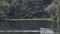 Untuk pengunjung yang ingin menaiki perahu tiketnya Rp 25 ribu per orang dan jumlah perahu di Situ Patengang ada sekitar 33 perahu (Wisma Putra/detikTravel)