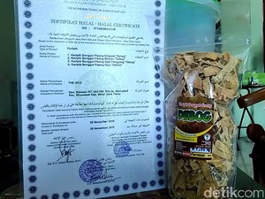 Awalnya Penasaran, Perempuan Ini Bisnis Keripik dari Bonggol Pisang