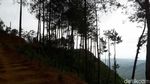 Berburu Foto Keren di Purworejo, Ini Tempatnya!