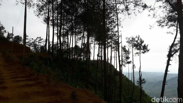 Dengan ketinggian sekitar 1.000 Mdpl, pengunjung disuguhi pemandangan alam yang sangat menakjubkan, yakni panorama perbukitan dari ketinggian (Rinto Heksantoro/detikTravel) Dengan ketinggian sekitar 1.000 Mdpl, pengunjung disuguhi pemandangan alam yang sangat menakjubkan, yakni panorama perbukitan dari ketinggian (Rinto Heksantoro/detikTravel)
