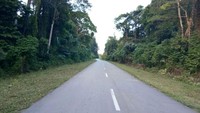 Sebelum ruas Manokwari-Kebar terbangun masyarakat yang membawa hasil bumi maupun hewan ternak dari Kebar untuk dijual ke Manokwari harus menempuh jalan cukup lama. Bahkan, ada juga masyarakat yang harus naik pesawat perintis agar cepat sampai di Manokwari. Pool/BP Jalan Nasional XVII Manokwari-Papua Barat.