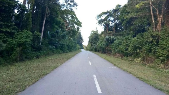 Ada Trans Papua Timika Wamena Tak Perlu Lagi Pakai Pesawat
